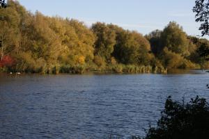 Eichholz Oktober 2011